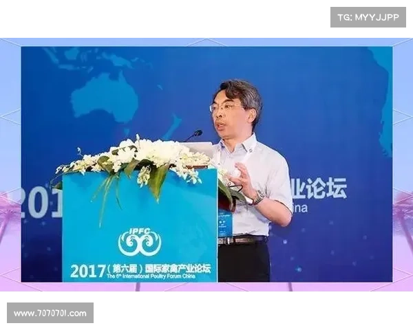 荷兰国家队崛起之路:新星涌现与战术革新齐头并进 荷兰国家队崛起之路:新星涌现与战术革新齐头并进